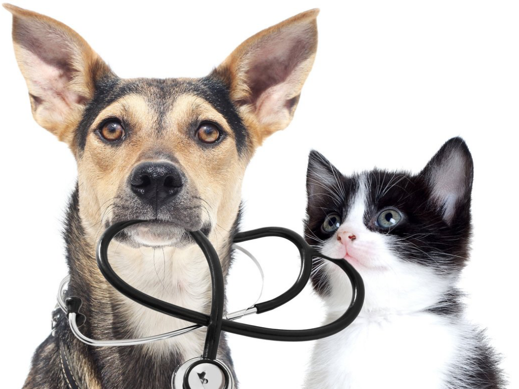 Noble Manes Clinic & Laboratory - Dog & Cat Image