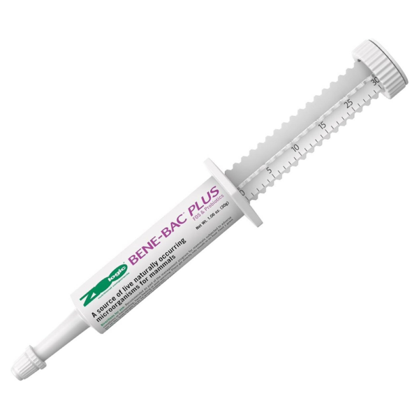 Bene-Bac Plus